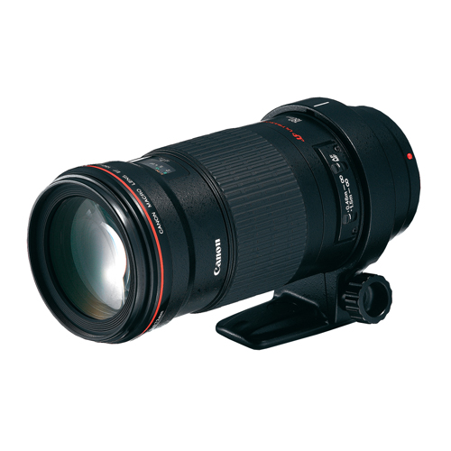 EF 180mm f/3.5L Macro USM - [佳能香港有限公司]